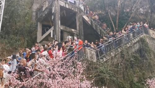 开往春天的列车，引领重庆旅游潮流，翻山越岭就要找到你