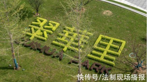 翠华路@沉浸式体验!西安又多了几处打卡地