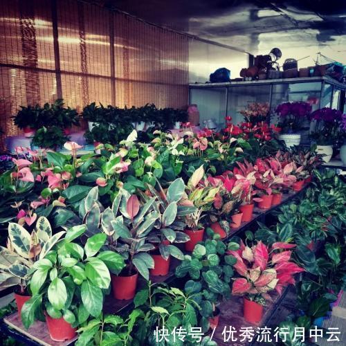 江南还有一种节日叫“时节”,堪比过年,比过年更盛