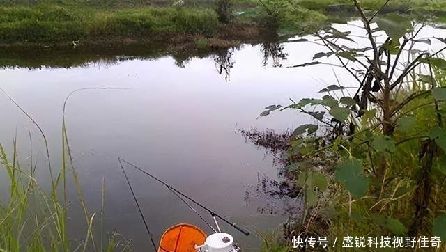 钓友|别人上鱼你不上鱼,埋怨根本没用,运用这3个技巧,钓到鱼不难