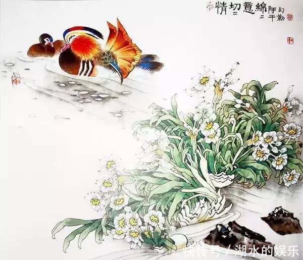 好漂亮的鸳鸯戏水图:祝愿天下有情人!