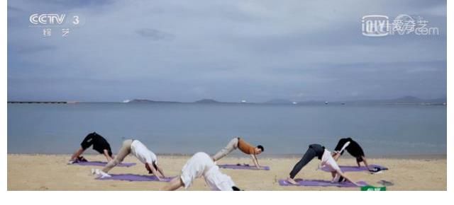 麦富迪|麦富迪带着敬畏心做好品控 主持人歌手梦幻联动