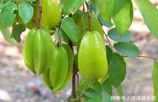 夏天|夏天了,3种水果女人要少碰,越吃子宫越差,早知早受益