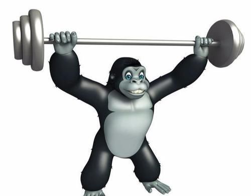 锻炼|想要提升衣品,需要打造美肩,了解肩部常识,让你穿衣有型