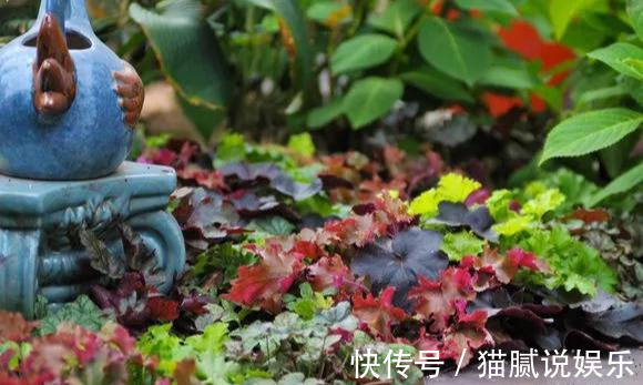 这9种花园,随便1个都美上天了,有一种这辈子就满足了!