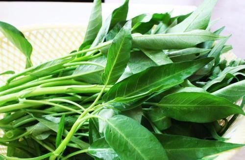 木耳|有3类蔬菜，孕妈尽量别碰，不利于宝宝的健康发育