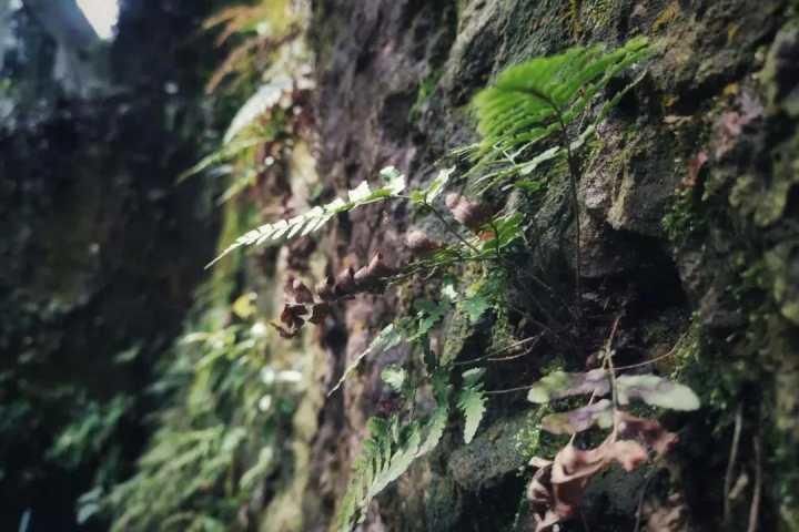 走到岳庙5分钟，谁都想拥有的西湖边小院，大隐于市就该这样