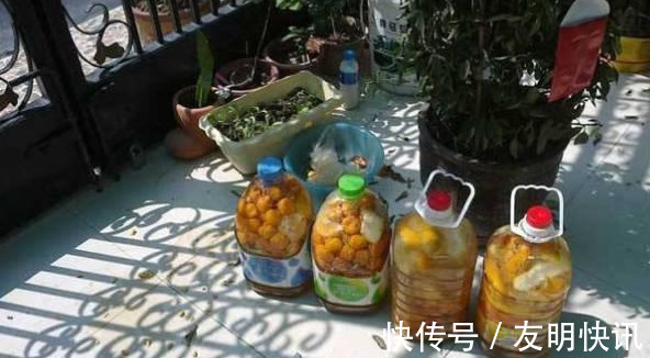养花技巧醋、橘子皮、小苏打用来养花，好处多！