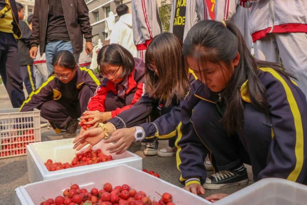 综合|开心收获 快乐成长——羲城中学举行校园采摘节综合实践活动