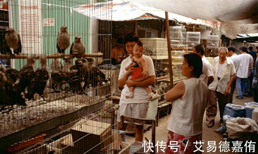 北京晨报|1998年的北京生活 刚刚创刊的《北京晨报》