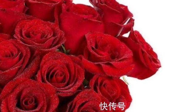 歌唱玫瑰经二十端歌词