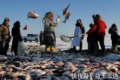 湖泊|东北查干湖鱼越来越多，当地人为何担忧导游说出原因