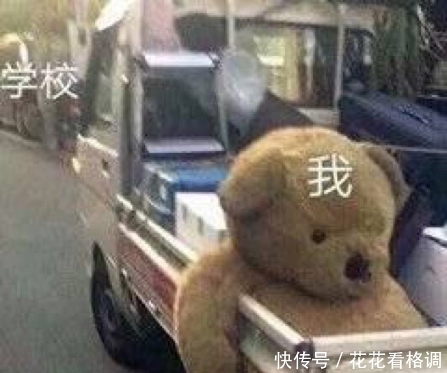 表情包第六期,这知识它不进脑子啊