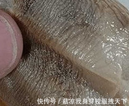 淮南子|一钓鱼爱好者，在海边钓到一条怪鱼，看清后蒙了