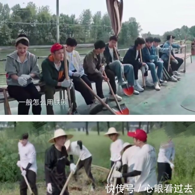 黄雅莉|这一期《向往的生活》中，一车人都来帮忙种地，都是看何炅的面子