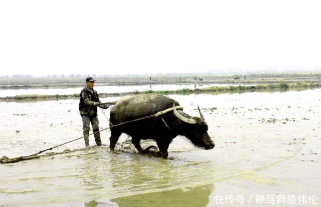 官僚地主|南宋初年钟相、杨幺起义，是封建社会阶级矛盾发展到新阶段的反映