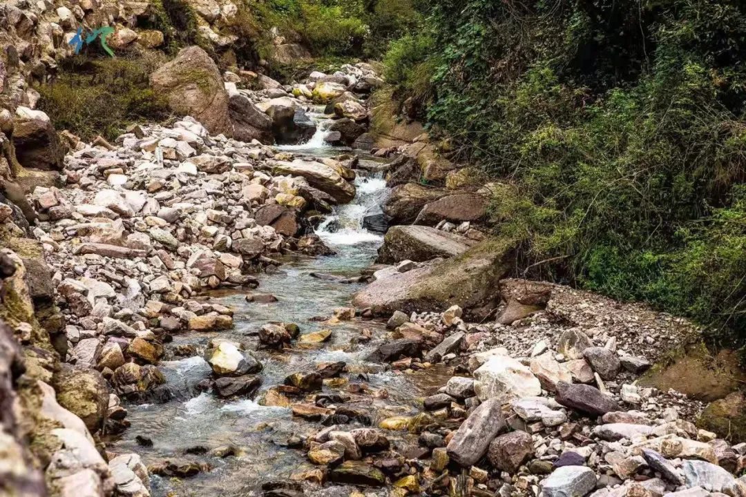 饮酒赏红叶，树树皆秋声|仙门秋色盛宴｜| 秋色