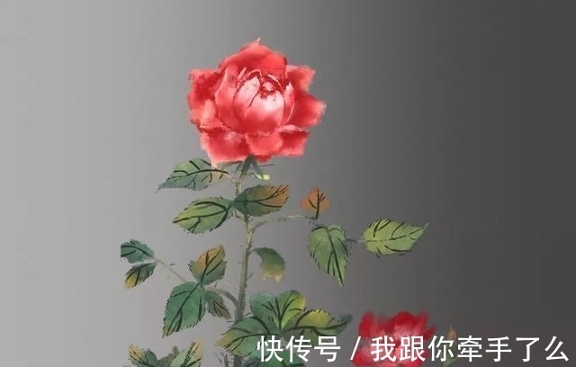 爱情|＂【测试】你几月出生，就是什么花＂