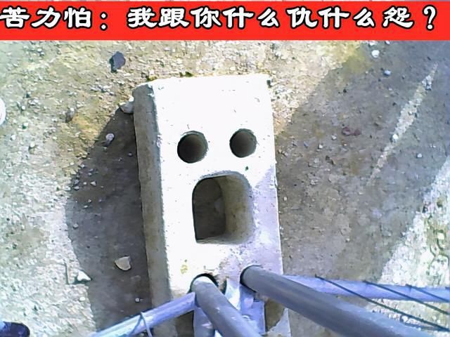 真的|《我的世界》这游戏是真的有毒！不信你来看看这些图片？