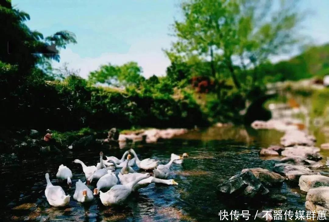 老年|徐凫岩步云谷，这个悬崖边上的房车营地，只需要自驾1小时