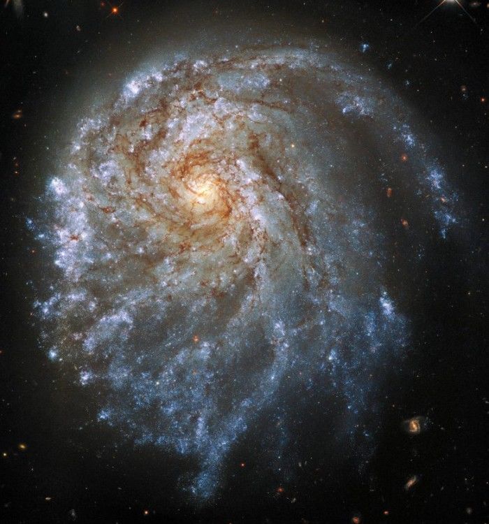 星系团 哈勃望远镜拍摄的壮观图像显示了一个奇怪扭曲的螺旋星系