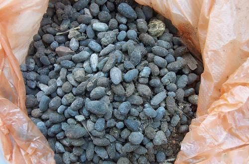 肥力|作为养花人,有机会就多收集些它们,看着不起眼却全是好东西