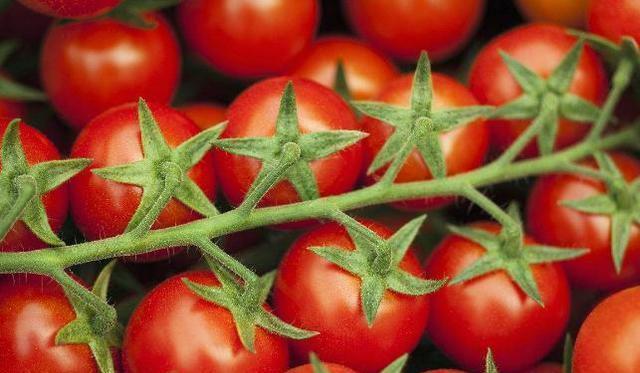 维生素c|女人要多吃番茄，能预防乳腺癌，但也要注意“两不宜”，别吃错了