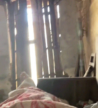 |搞笑GIF:表妹担心有人偷竹子,她每天一个人去后山点数!