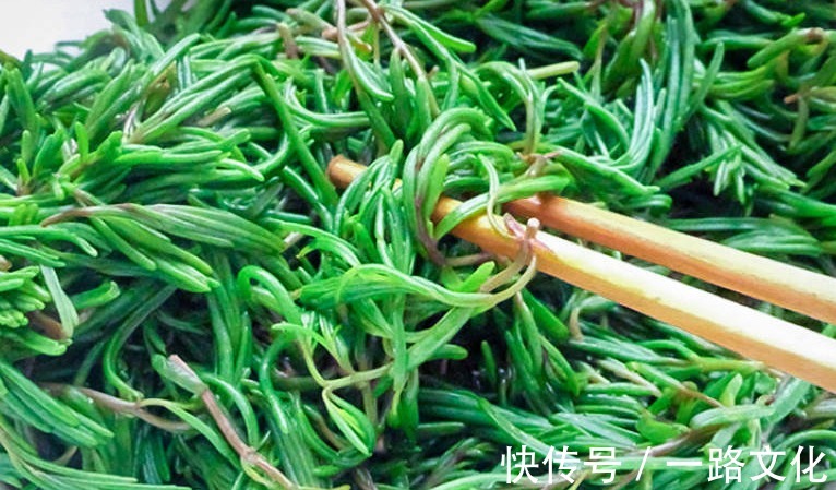 营养价值|天热,这3种野菜要多吃,比买的营养高,清肠消暑还补钙!