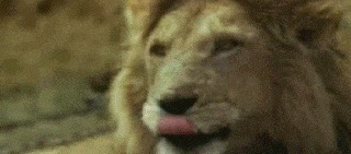 |搞笑gif 恕大王直言, 这照片让我对护士彻底失去兴趣了……