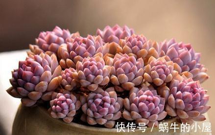 原来你也可以色的这么自然，色彩效果会非常震撼