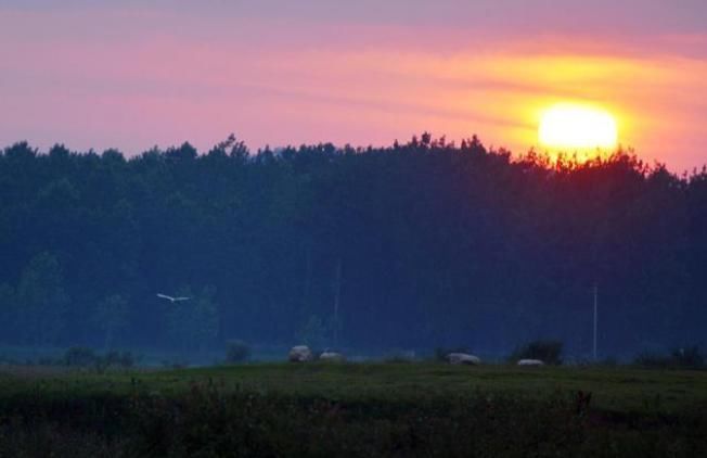 王勃|王勃只活了27岁,写下一首诗,短短四句,却被传颂了千年!