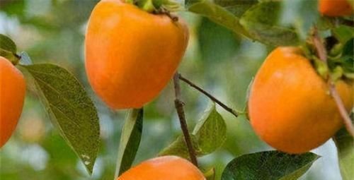  养颜|超市常见的3种食物，排毒养颜、延缓衰老，早吃早受益！