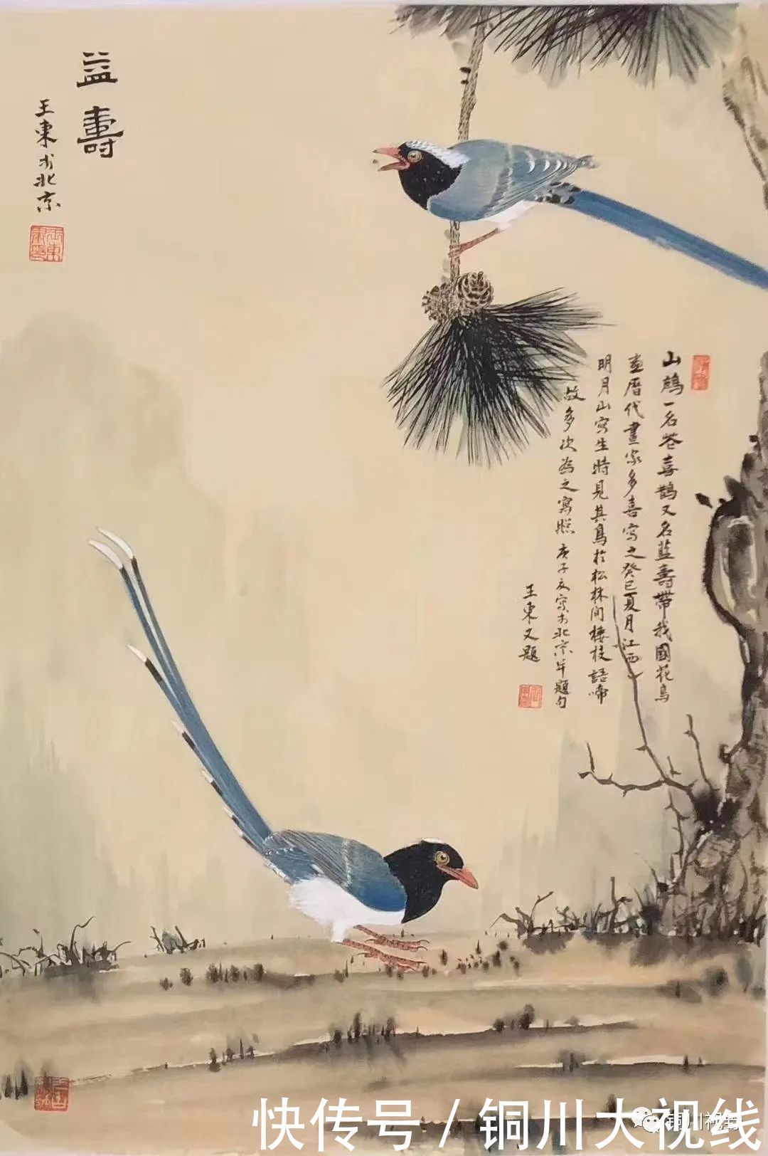 耳目一新|当代名家书画欣赏,让人耳目一新