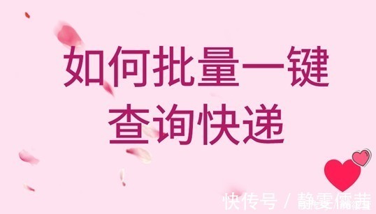 快递|教你如何批量查询快递信息，支持多家快递公司