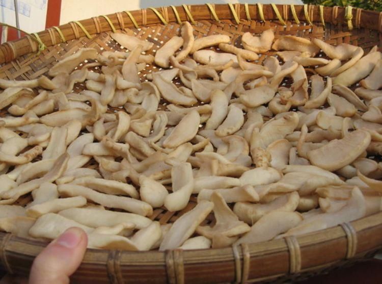 将这些蔬菜晒成干,比新鲜的时候还好吃,容易保存,炖肉吃真香