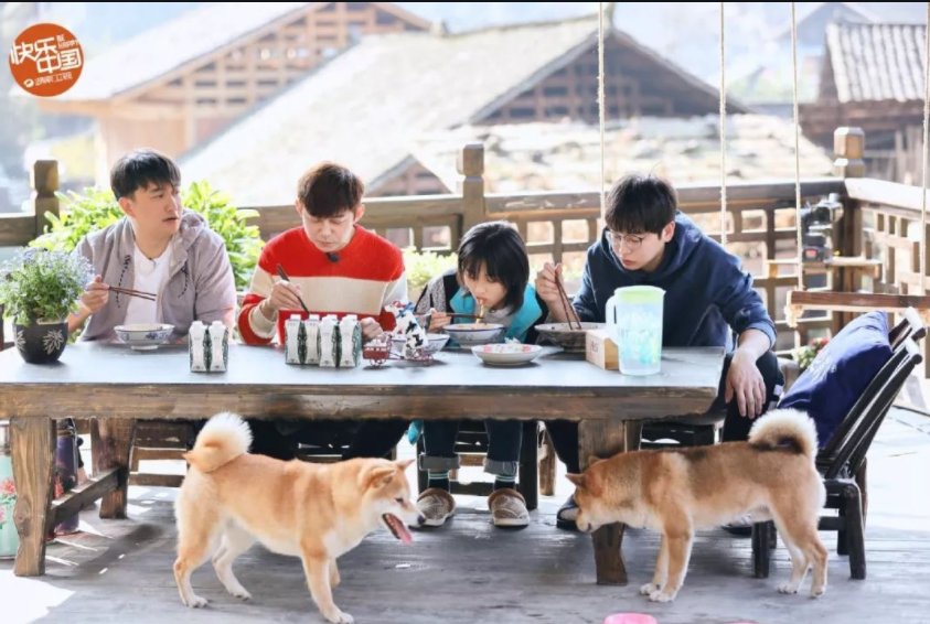 真面目|那英参加向往的生活，揭开了这档节目的真面目，口碑也直线上升。