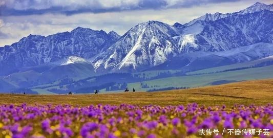 四月份国内最佳旅游的四大美景，你去过了吗？