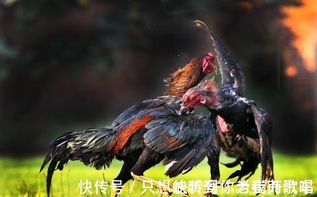 纪渻子@庄子这3句话,暗藏天道、地道、人道大玄机,读懂了时来运转!