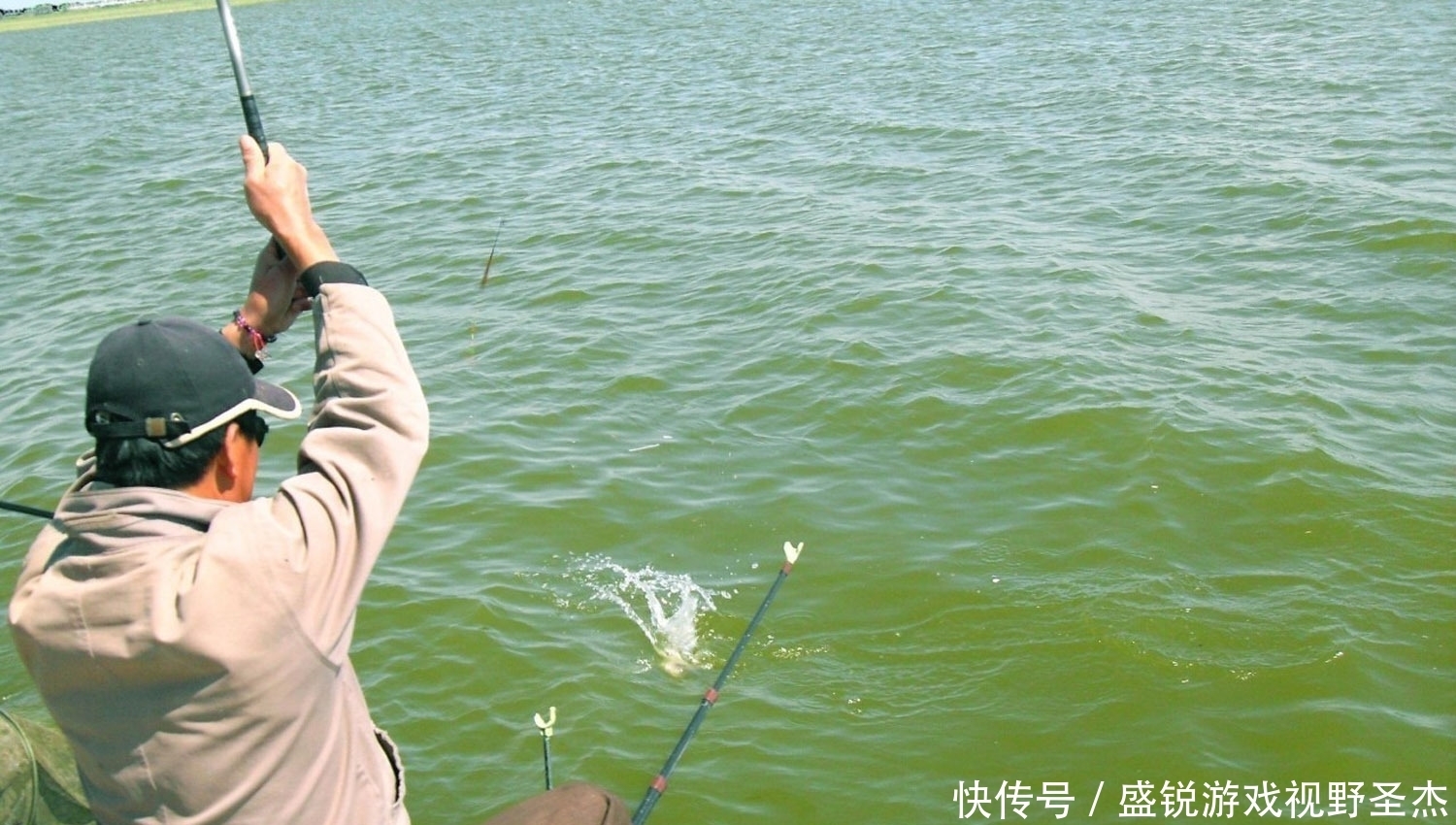 鲤鱼最爱吃什么？如何才能钓到鲤鱼？鲤鱼的觅食习性和垂钓方法