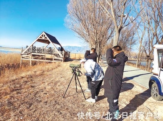 延庆赛区|万鸟齐飞！冬奥延庆赛区海陀山下，野鸭湖湿地呈万物共生生态美境