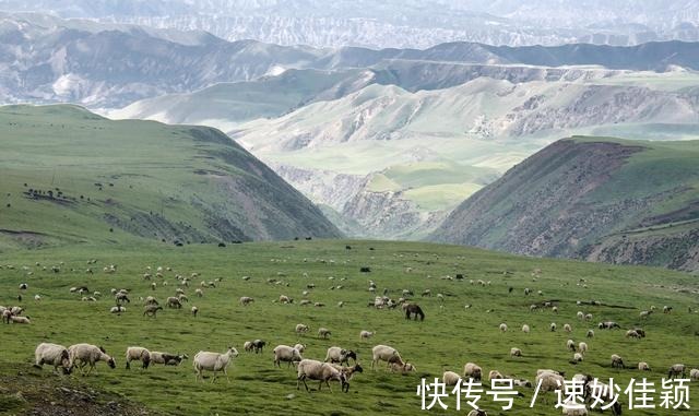 龙羊峡|高原散记，漫步在雪山峡谷之间