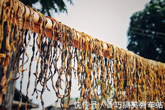 虫眼|夏天,晒些豇豆干存起来,教您正确做法,久放不发霉,放到冬天吃