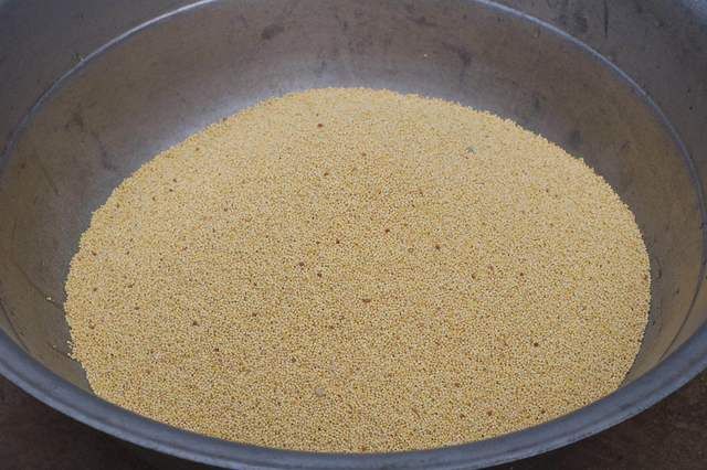 大黄米|北方人最爱的美味，南方人第一次吃，上桌就吃8个，根本停不下来