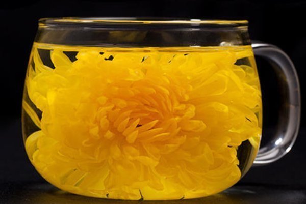 菊花|菊花和此物是“天生一对”,经常泡茶喝,养肝明目,越喝越健康