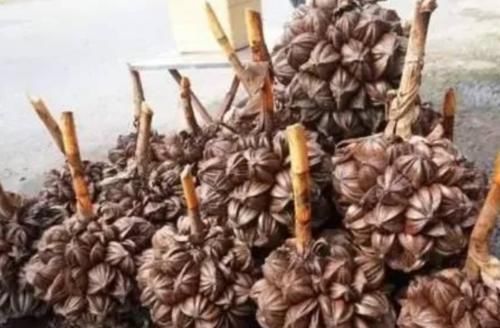 抢手货|比小龙虾更“可怜”的水果国外少数人吃,在中国却成“抢手货”