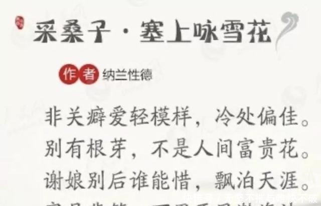 粉丝就|粉丝为“人间富贵花”这个称号争破头