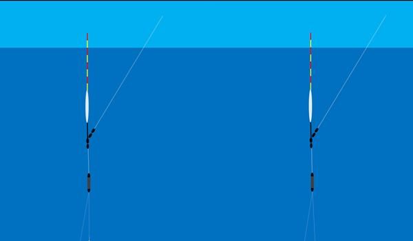  饵重量|调漂技巧：同样的调目和钓目，为何双饵状态效果不同，灵钝不同？