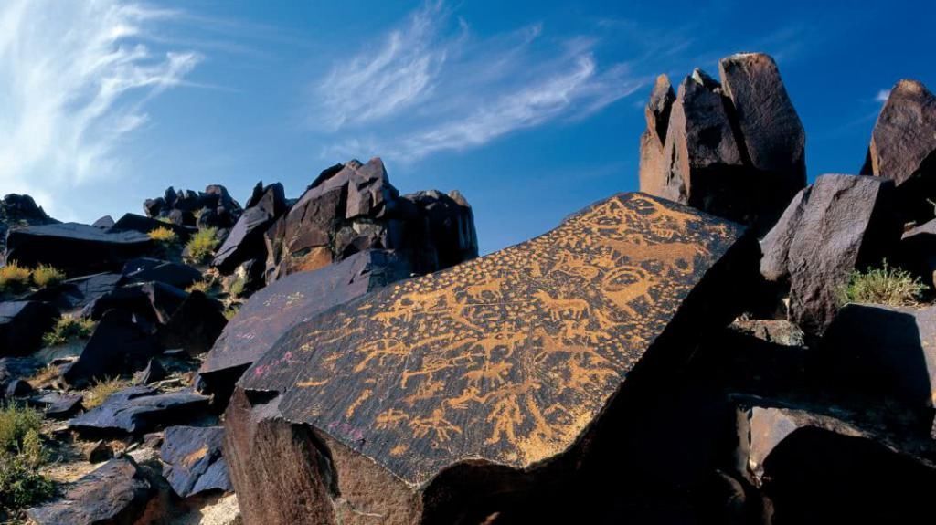 对不起|推荐丨对不起,别再找我,我要去阿拉善了