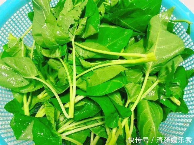  便宜|夏季这菜正便宜，2元钱一捆，但钙含量却是黄瓜9倍，土豆13倍